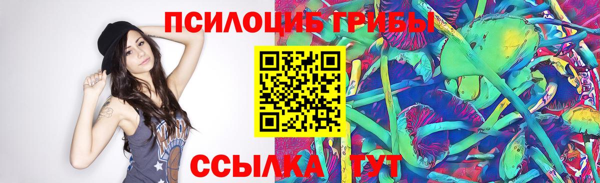 Ростов Великий  Псилоцибиновые грибы Magic Shrooms  Вход с VPN 
